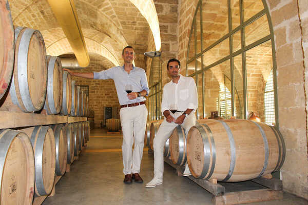 tour wine primitivo