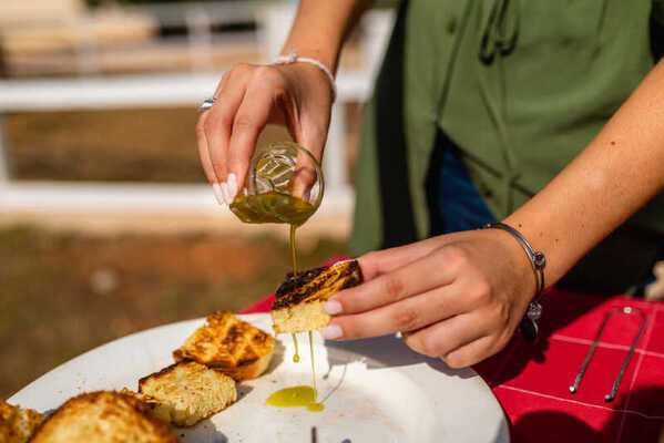 olive oil tasting tour