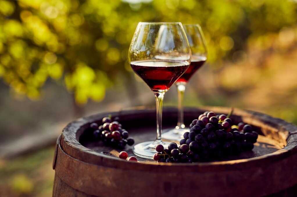 Primitivo wine tour - Martina Franca